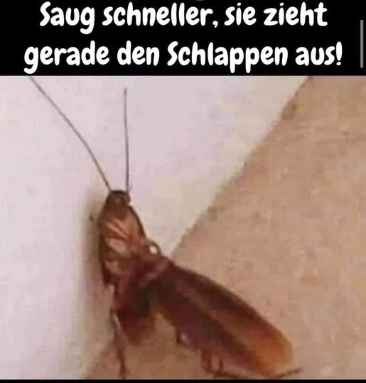 Saug schneller, sie zieht gerade den Schlappen aus!