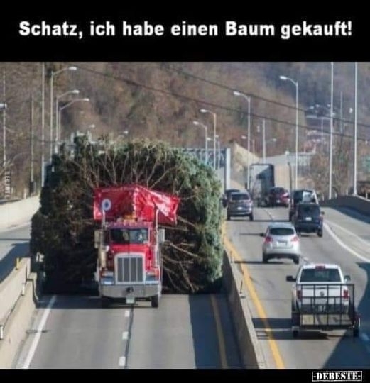 Schatz, ich habe einen Baum gekauft!