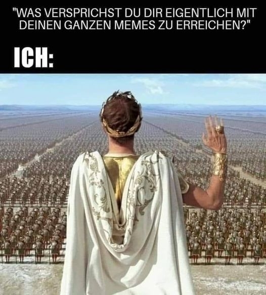 "WAS VERSPRICHST DU DIR EIGENTLICH MIT DEINEN GANZEN MEMES ZU ERREICHEN?" - ICH: