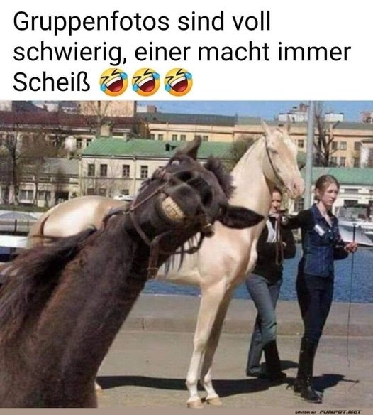 Gruppenfotos sind voll schwierig, einer mach immer Scheiß 🤣🤣🤣