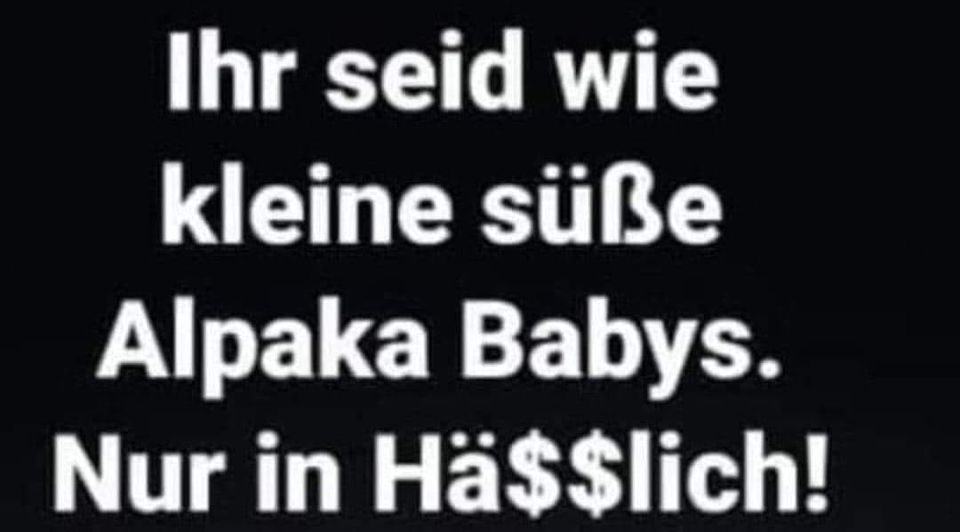 Ihr seid wie kleine süße Alpaka Babys. Nur in Hä$$lich!