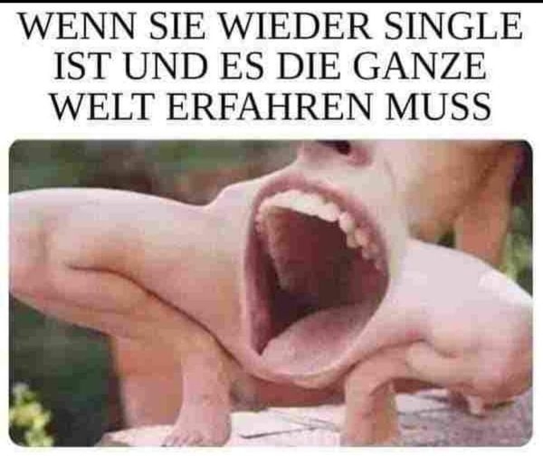 WENN SIE WIEDER SINGLE IST UND ES DIE GANZE WELT ERFAHREN MUSS