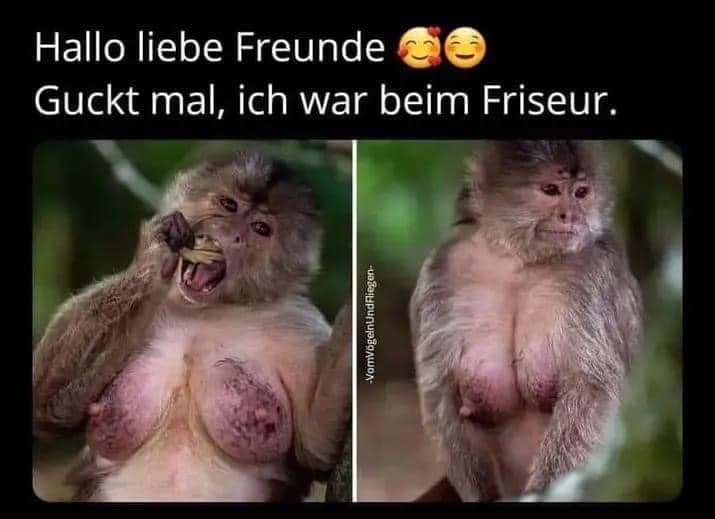 Hallo liebe Freunde 🥰😊 Guckt mal, ich war beim Friseur.