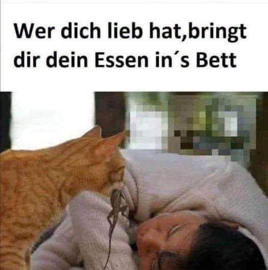 Wer dich lieb hat,bringt dir dein Essen in`s Bett