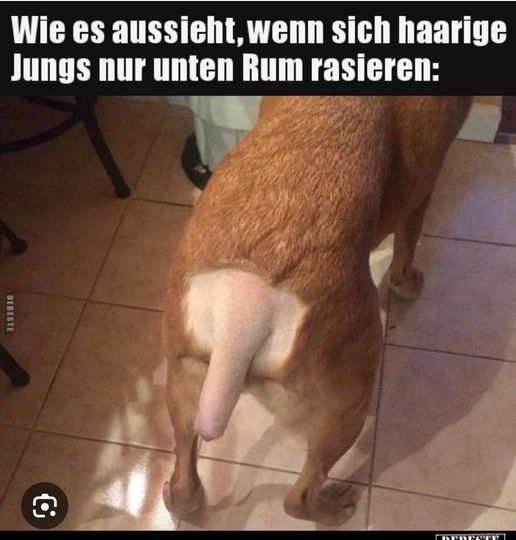 Wie es aussieht, wenn sich haarige Jungs nur unten Rum rasieren: