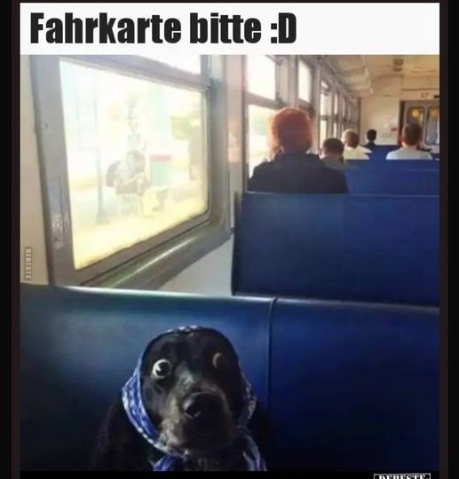 Fahrkarte bitte :D