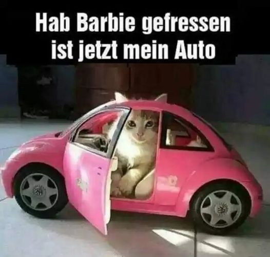 Hab Barbie gefressen ist jetzt mein Auto