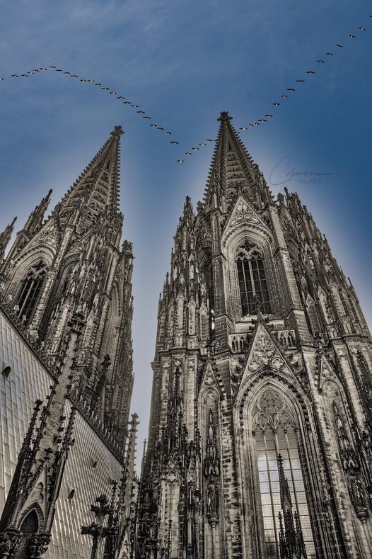 Kölner Dom