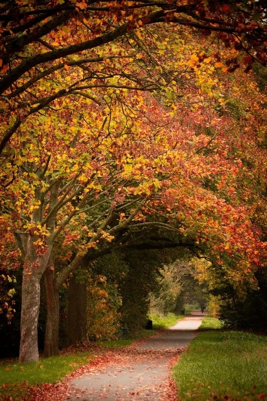 Herbst in Zündorf