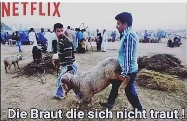 NETFLIX - Die Braut die sich nicht traut !