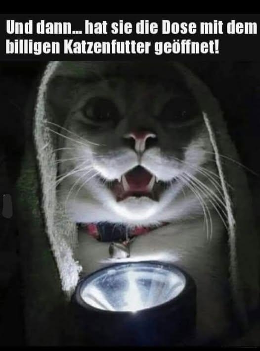 Und dann...  - hat sie die Dose mit dem 
billigen Katzenfutter geöffnet!