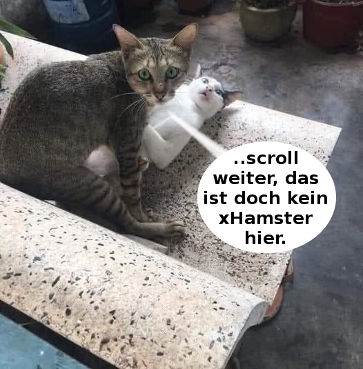 ..scroll weiter, - das ist doch kein xHamster hier.